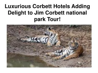 Luxurious Corbett Hotels Adding Delight to Jim Corbett natio