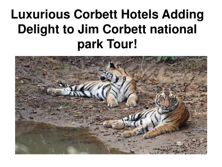 luxurious corbett hotels adding delight to jim corbett national park tour