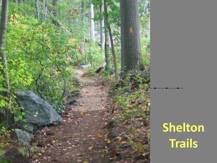 shelton trails