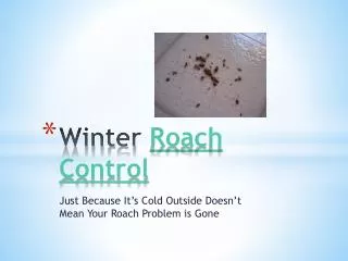 Winter Roach Control- Just Because It’s Cold Outside Does No