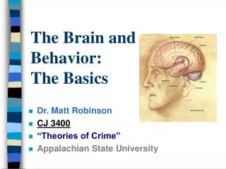 The Brain and Behavior: The Basics