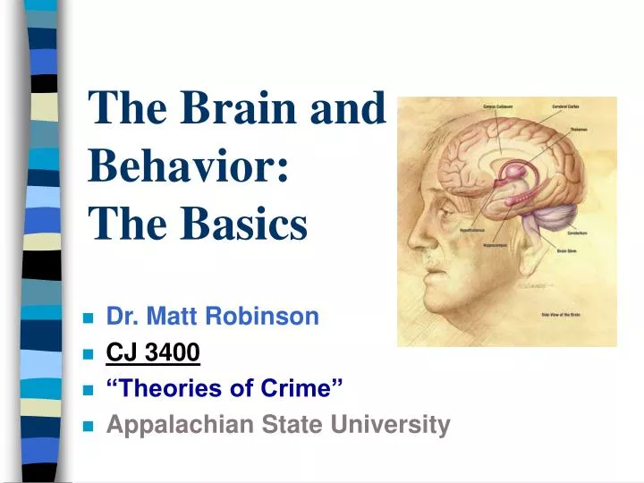 the brain and behavior the basics