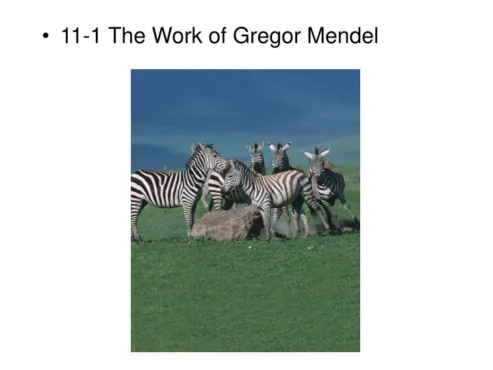 11 1 the work of gregor mendel