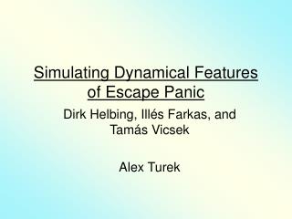 Simulating Dynamical Features of Escape Panic