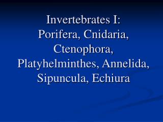 Invertebrates I: Porifera, Cnidaria, Ctenophora, Platyhelminthes, Annelida, Sipuncula, Echiura