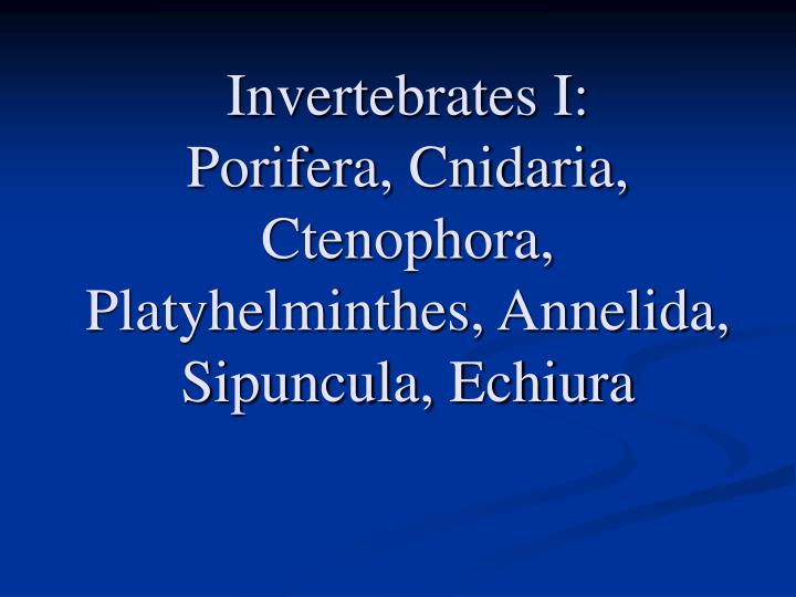 invertebrates i porifera cnidaria ctenophora platyhelminthes annelida sipuncula echiura