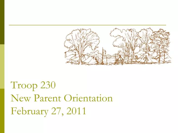 troop 230 new parent orientation february 27 2011