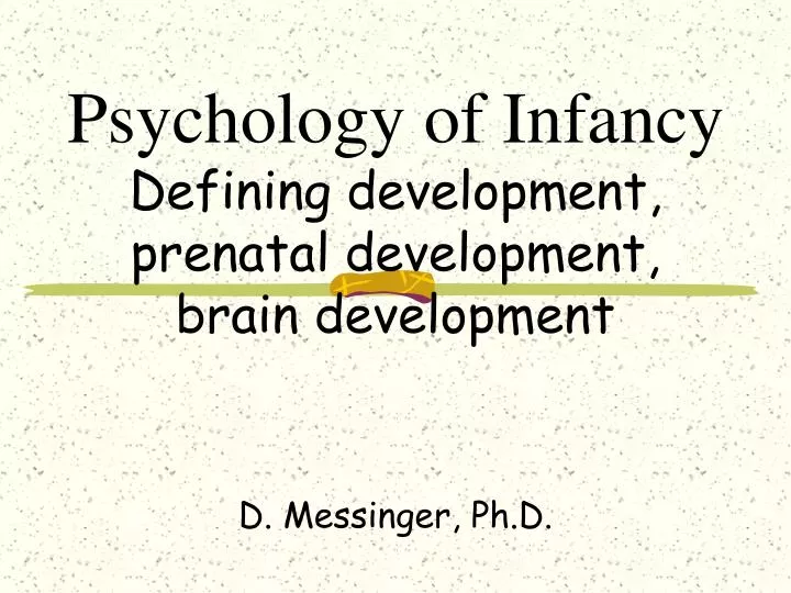 psychology of infancy defining development prenatal development brain development