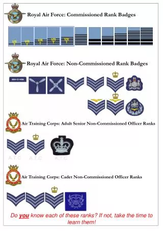 Royal Air Force: Commissioned Rank Badges