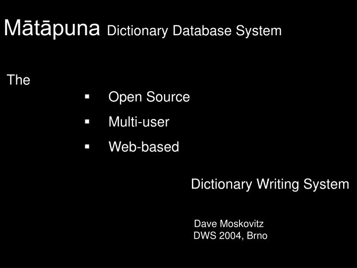 m t puna dictionary database system