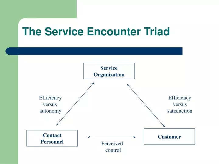 the service encounter triad