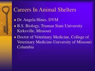 Careers In Animal Shelters