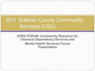 2011 Sullivan County Community 	 Services (LGU)