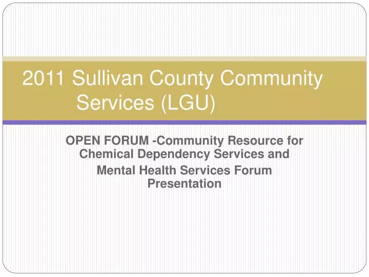 2011 sullivan county community services lgu