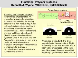 Functional Polymer Surfaces Kenneth J. Wynne, VCU CLSE, DMR-0207560