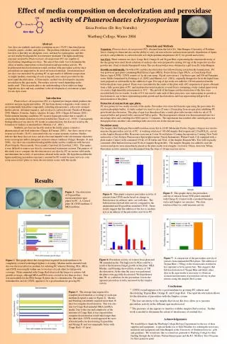 Effect of media composition on decolorization and peroxidase activity of Phanerochaetes chrysosporium