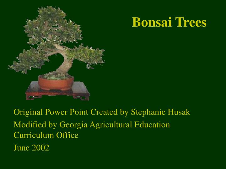 bonsai trees