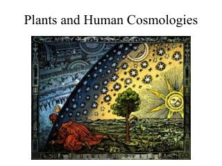 Plants and Human Cosmologies