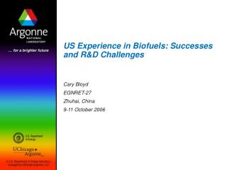 US Experience in Biofuels: Successes and R&amp;D Challenges