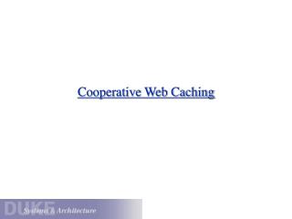 Cooperative Web Caching