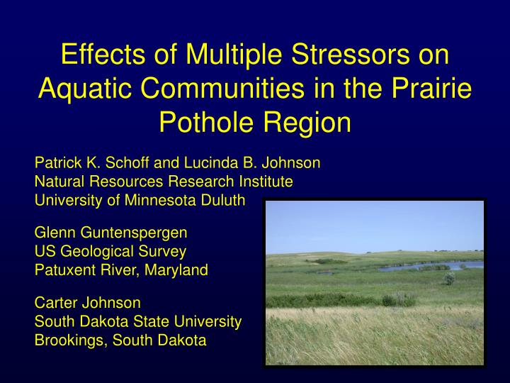 effects of multiple stressors on aquatic communities in the prairie pothole region