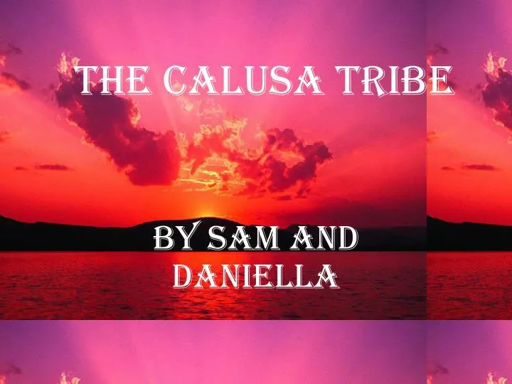 the calusa tribe