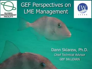 GEF Perspectives on LME Management