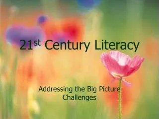 21 st Century Literacy