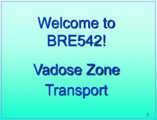 Welcome to BRE542! Vadose Zone Transport