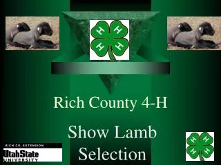 Rich County 4-H