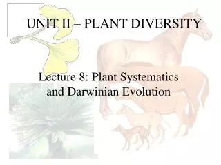 UNIT II – PLANT DIVERSITY
