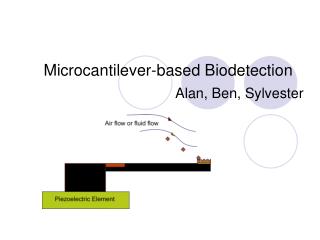 Microcantilever-based Biodetection