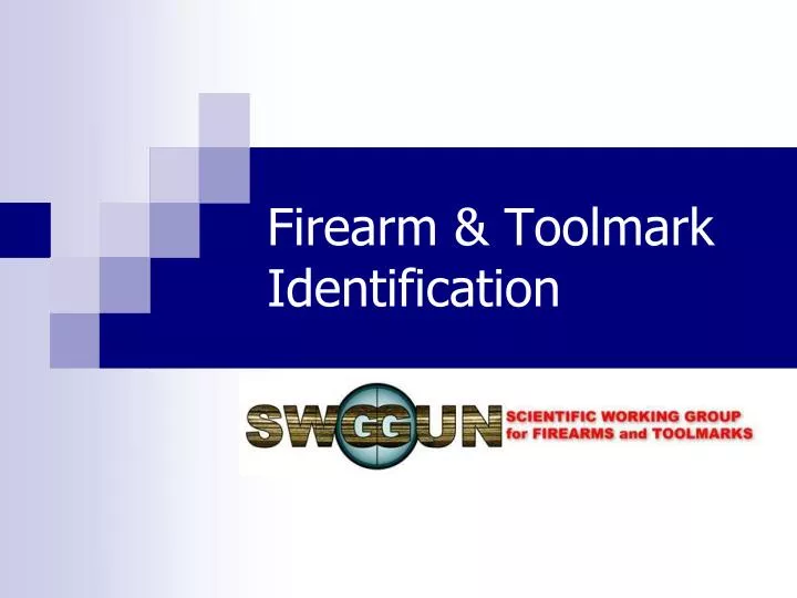 firearm toolmark identification