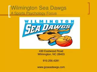 Wilmington Sea Dawgs A Sports Psychology Focus