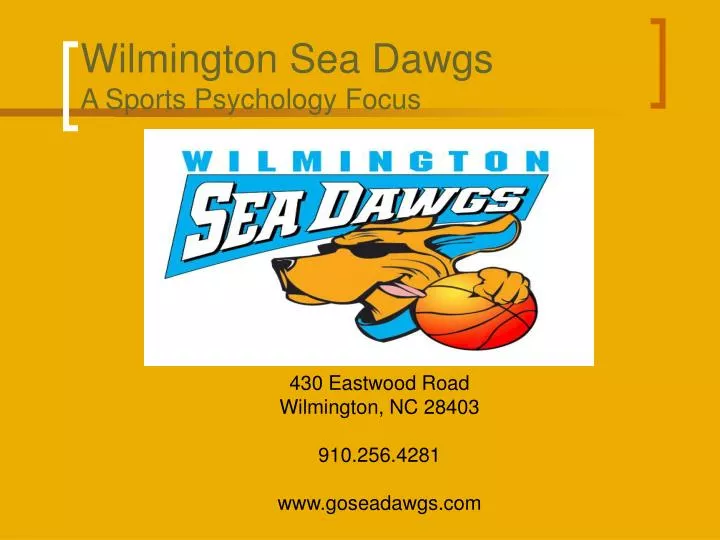 wilmington sea dawgs a sports psychology focus