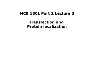 MCB 130L Part 2 Lecture 3 Transfection and Protein localization