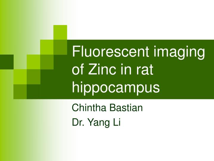 fluorescent imaging of zinc in rat hippocampus