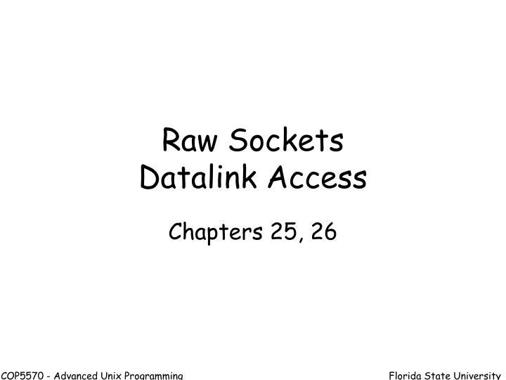 raw sockets datalink access