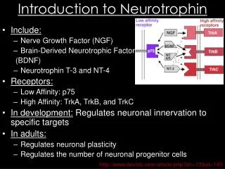 Introduction to Neurotrophin
