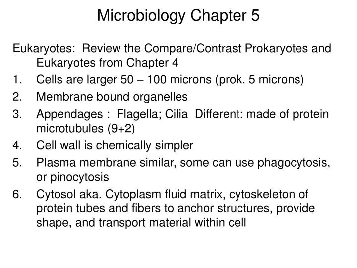 PPT - Microbiology Chapter 5 PowerPoint Presentation, Free Download ...