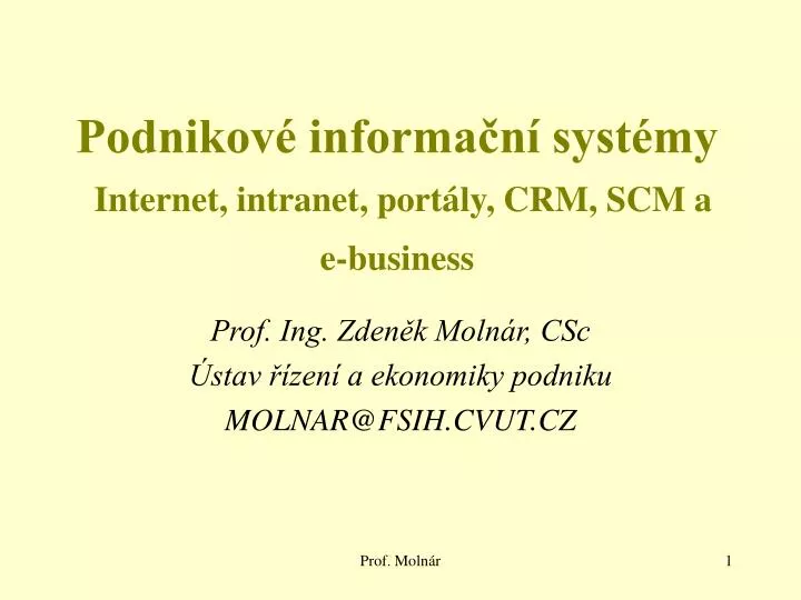 podnikov informa n syst my internet intranet port ly crm scm a e business
