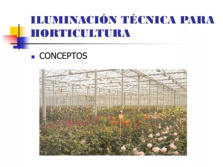 iluminaci n t cnica para horticultura