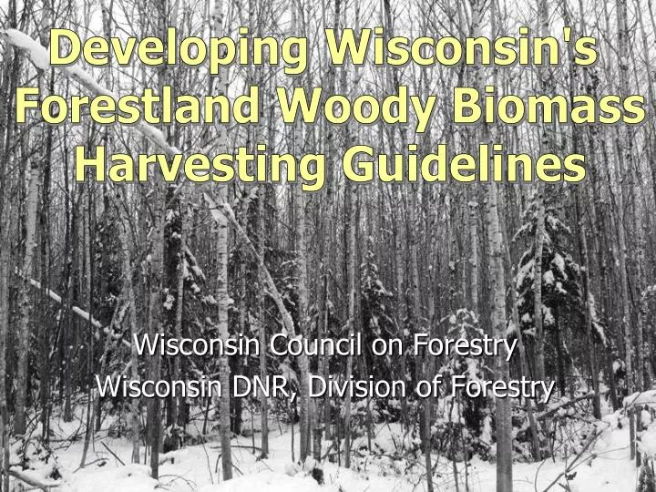 wisconsin council on forestry wisconsin dnr division of forestry
