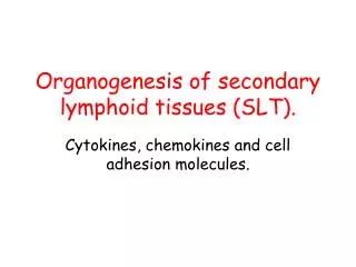 Organogenesis of secondary lymphoid tissues (SLT).