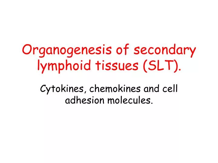 organogenesis of secondary lymphoid tissues slt