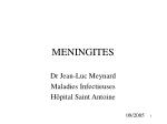 MENINGITES - slide 1