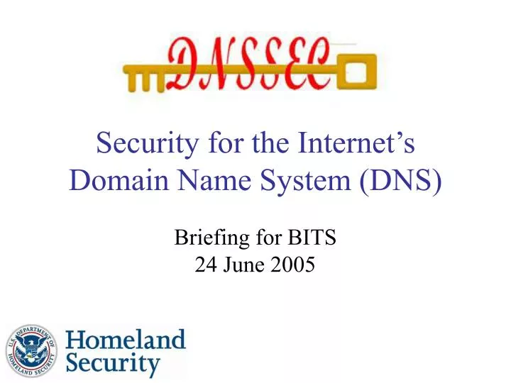 security for the internet s domain name system dns