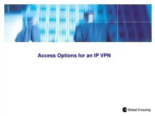 Access Options for an IP VPN