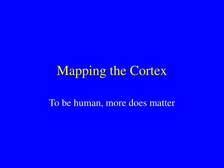 mapping the cortex