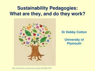 Sustainability Pedagogies: What are they, and do they work?
